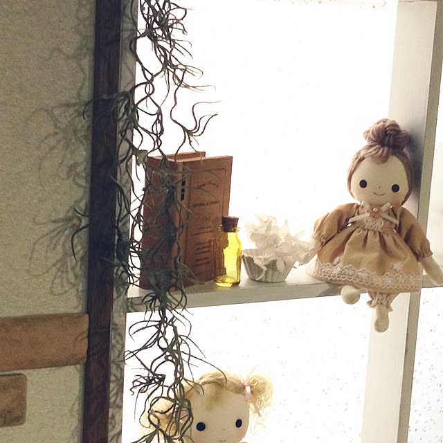 Norikoさんの実例写真