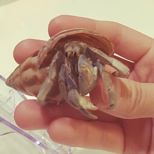 369mamaさんの実例写真