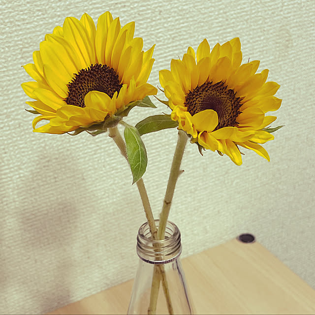 nishikenさんの実例写真