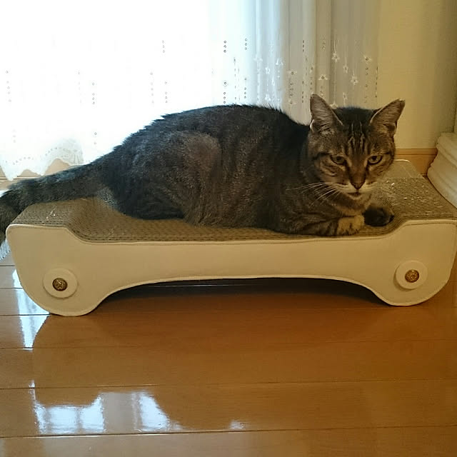 lilyさんの実例写真