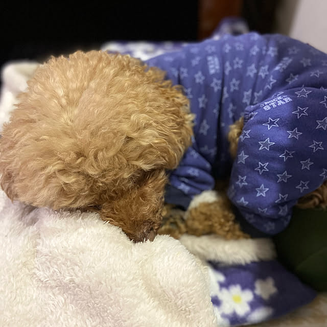 ash1024さんの実例写真