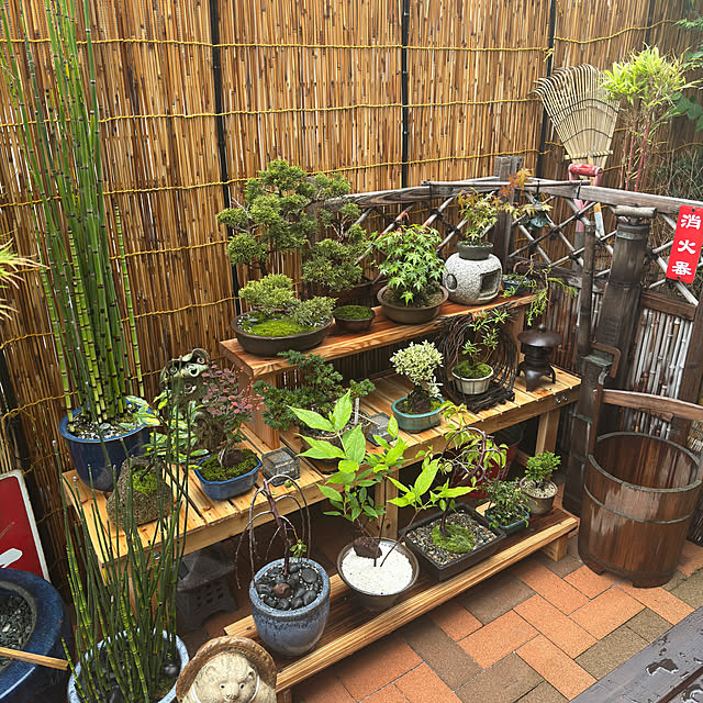 masato.mikiさんの部屋