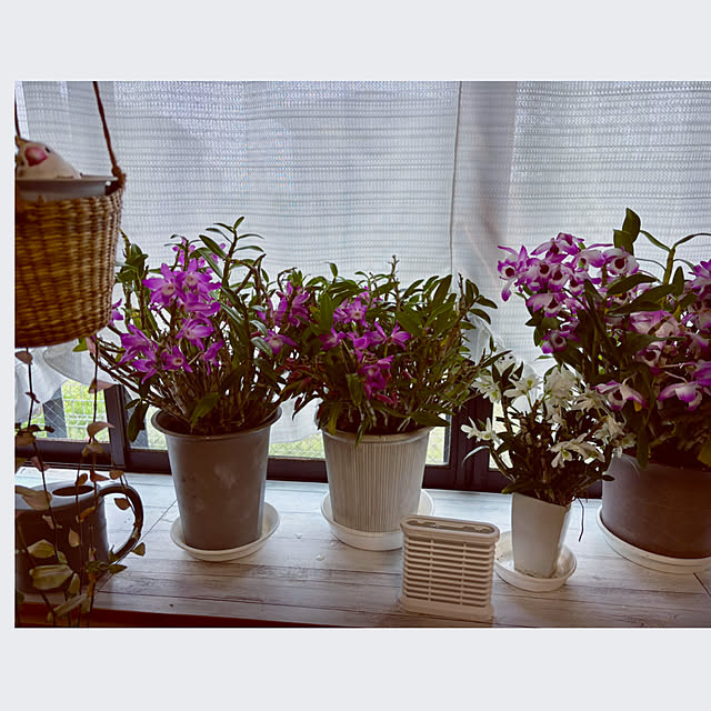 CoCo0617さんの実例写真