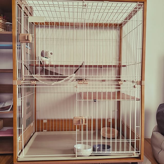 Rudyさんの部屋
