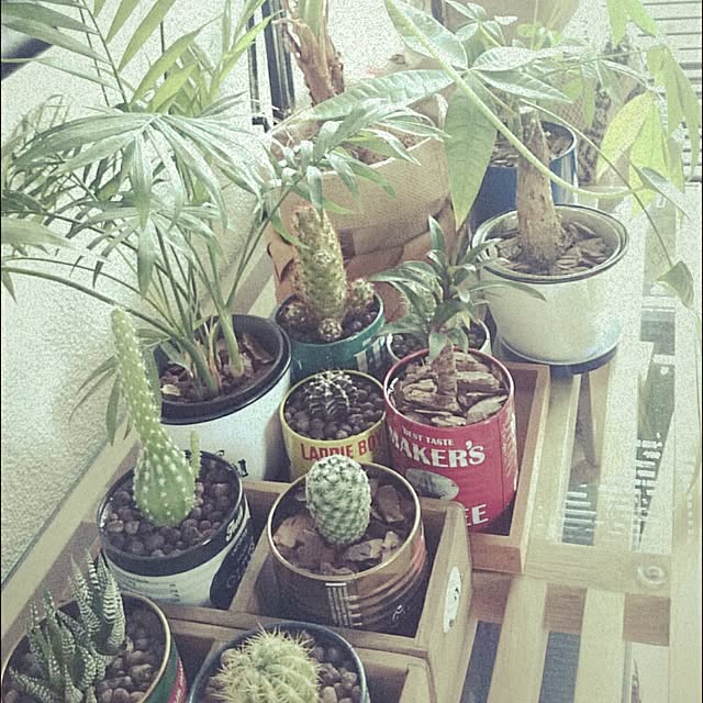 annyoshさんの実例写真