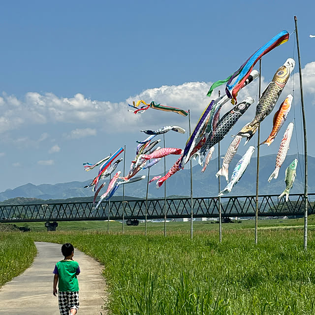 実例写真