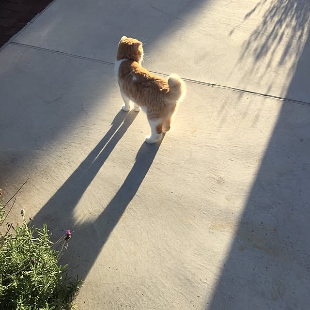 mochiさんの実例写真