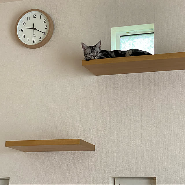Risaさんの実例写真