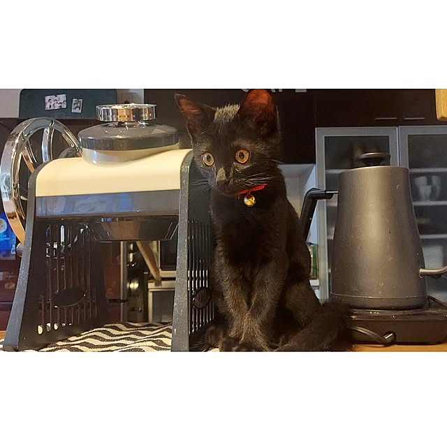 ciiiさんの実例写真