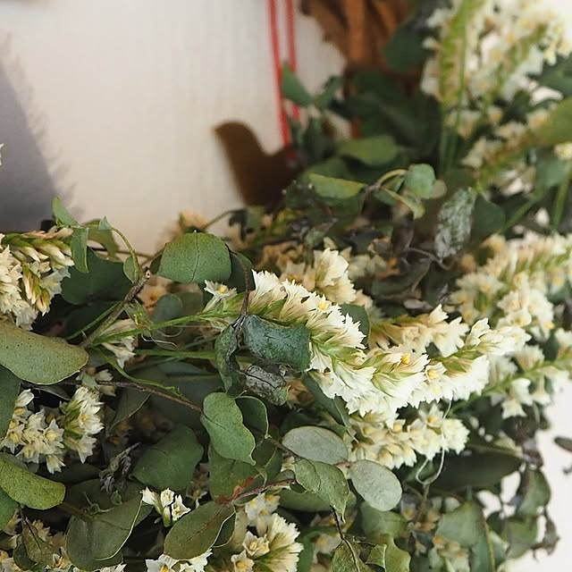 sakuraankoさんの部屋