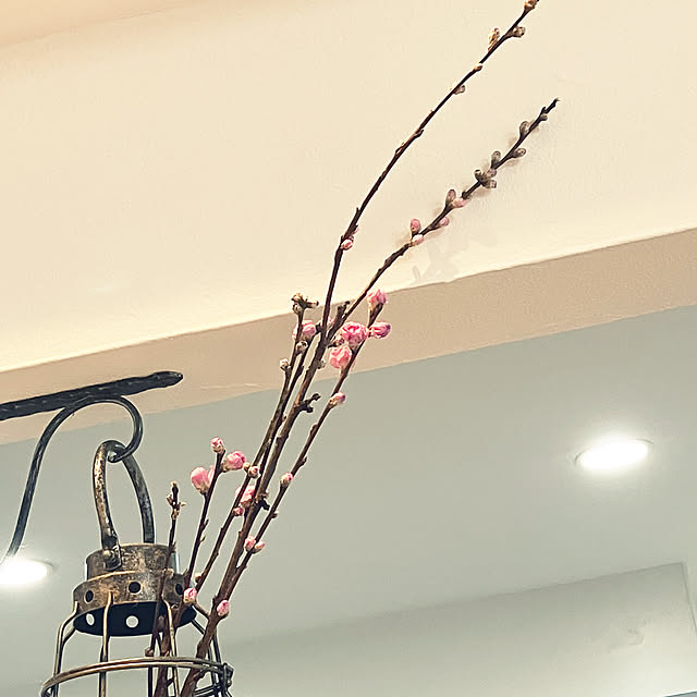 wahahaさんの部屋