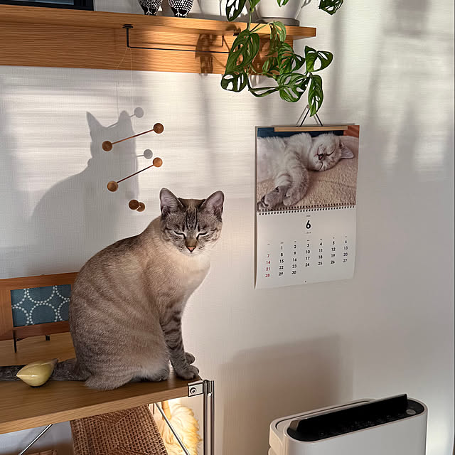 amさんの部屋