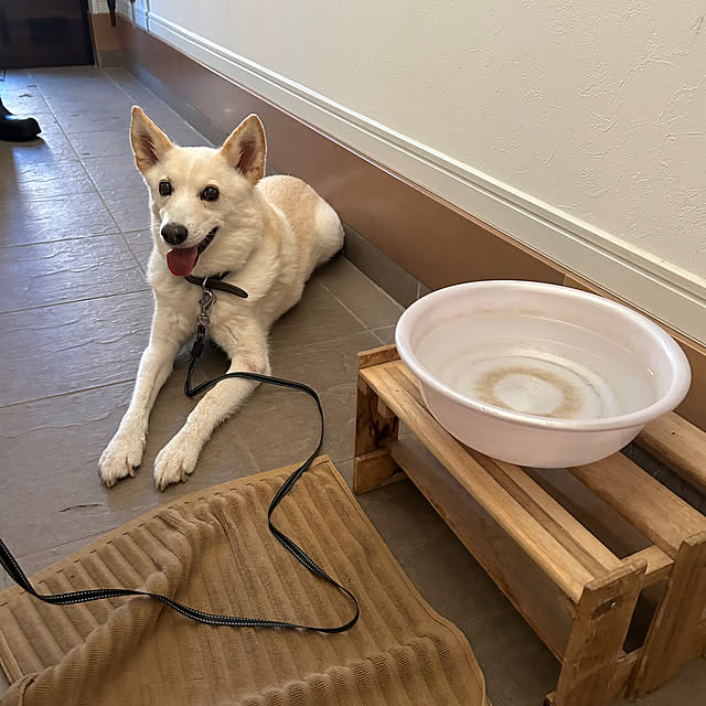 tanboさんの部屋