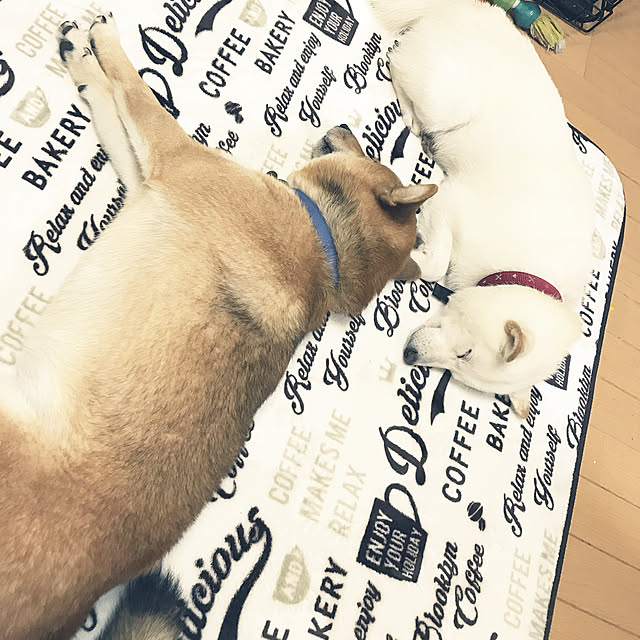 pillowsさんの実例写真