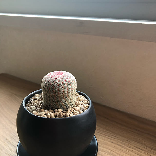 chelico410さんの実例写真