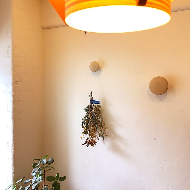 Hisayoさんの実例写真
