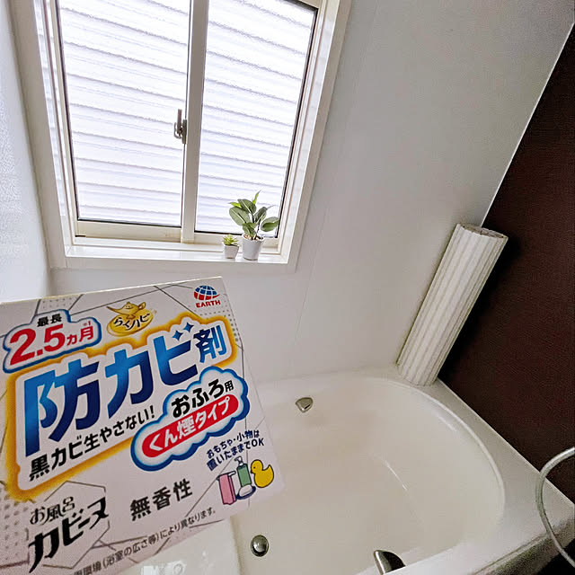 lilyさんの実例写真