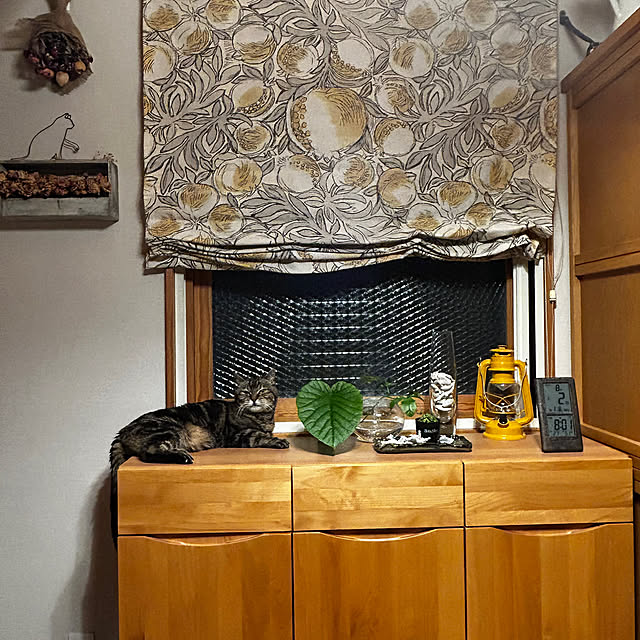 botanさんの実例写真
