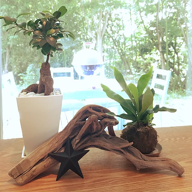 kunaimomo3oto11さんの実例写真