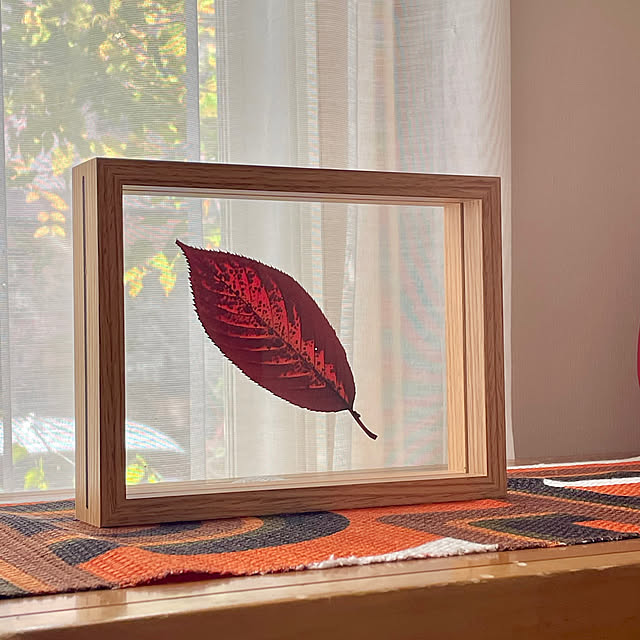 nobikoさんの実例写真