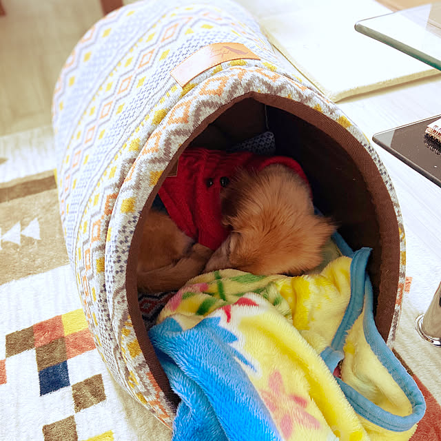 Kyoko.さんの実例写真