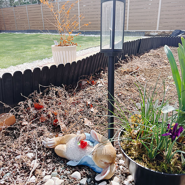 chanduさんの実例写真