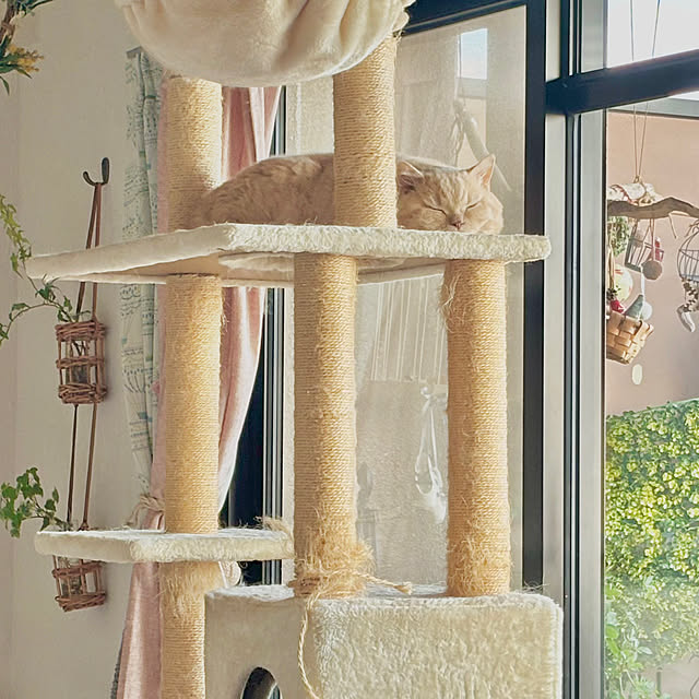 naokoさんの部屋