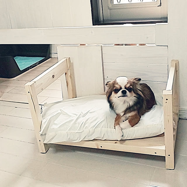 M_house_officialさんの実例写真