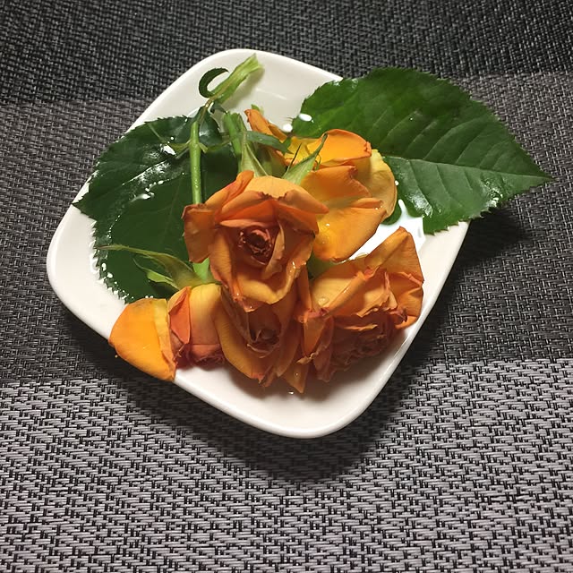 Harumiさんの実例写真