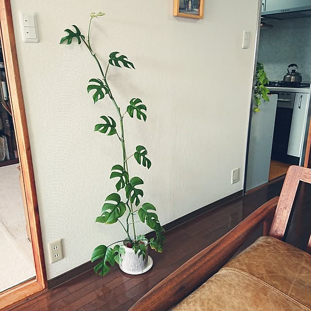hopkeiさんの実例写真