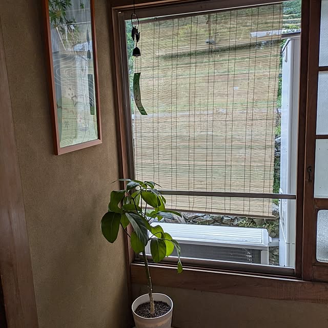 kuririnmamaさんの部屋