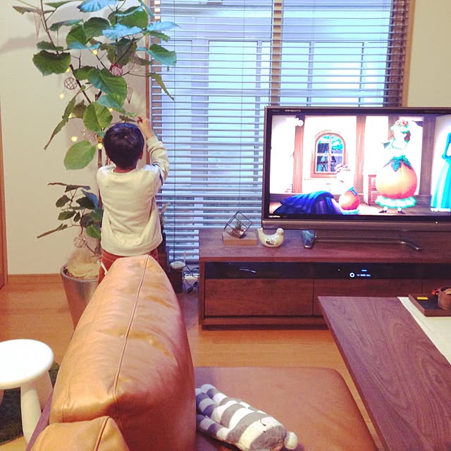実例写真