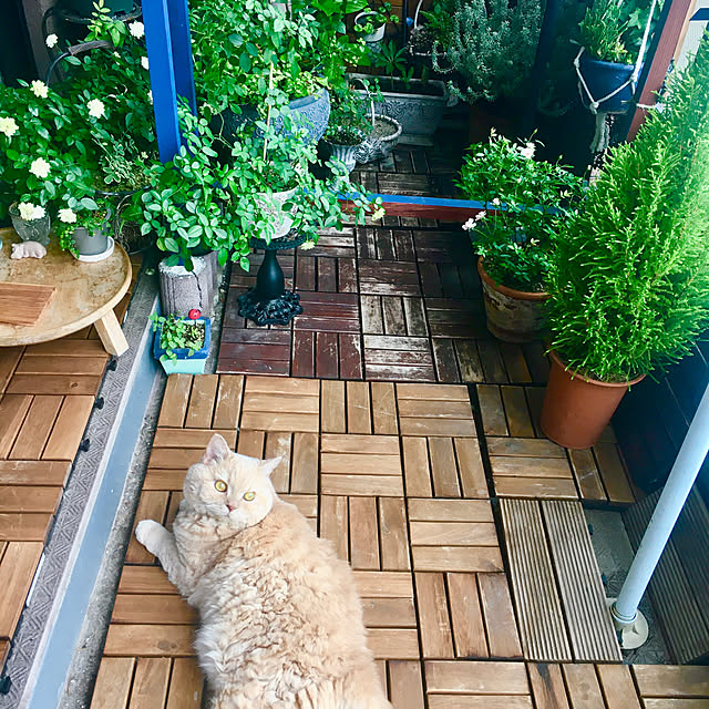 naokoさんの部屋