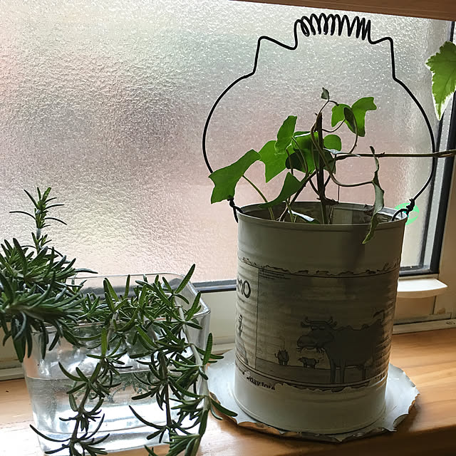 booskaさんの実例写真