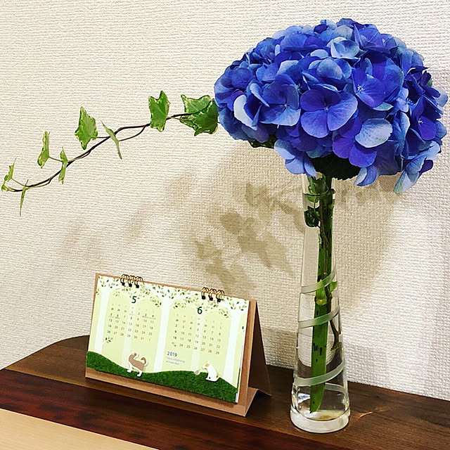 mochi2usagiさんの実例写真