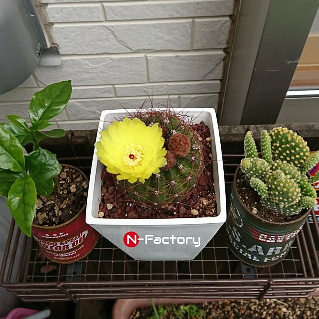 N-Factoryさんの実例写真