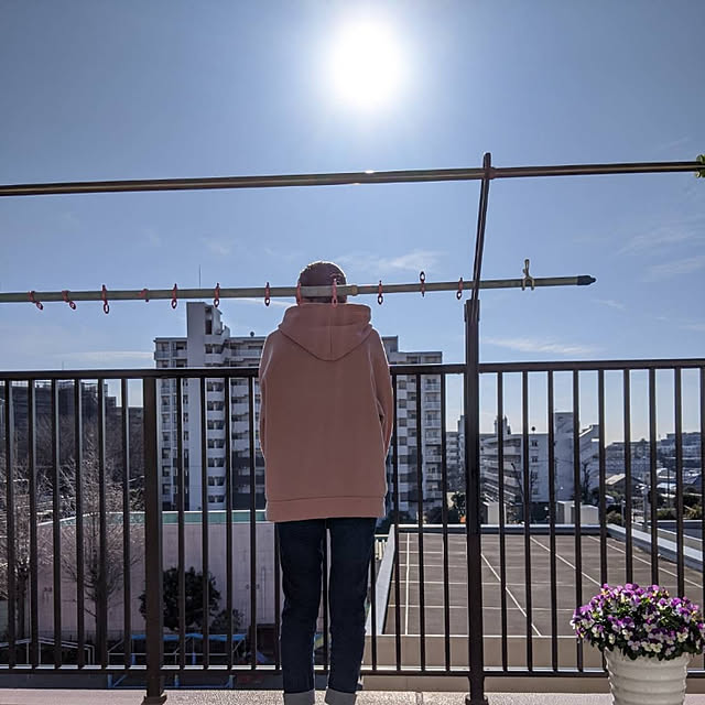 実例写真
