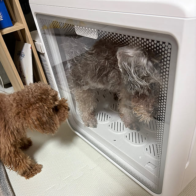 alchoさんの部屋