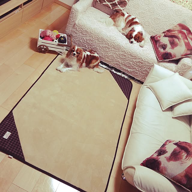 kanaさんの実例写真