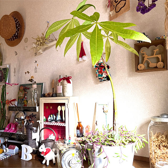 takakoさんの部屋