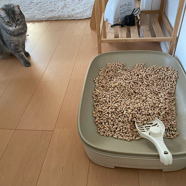 3chanさんの実例写真