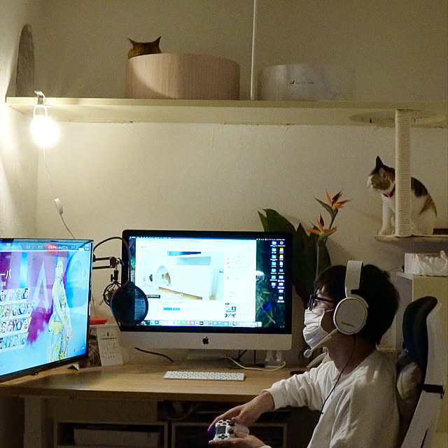 catpapaさんの実例写真