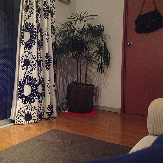 solongooさんの実例写真