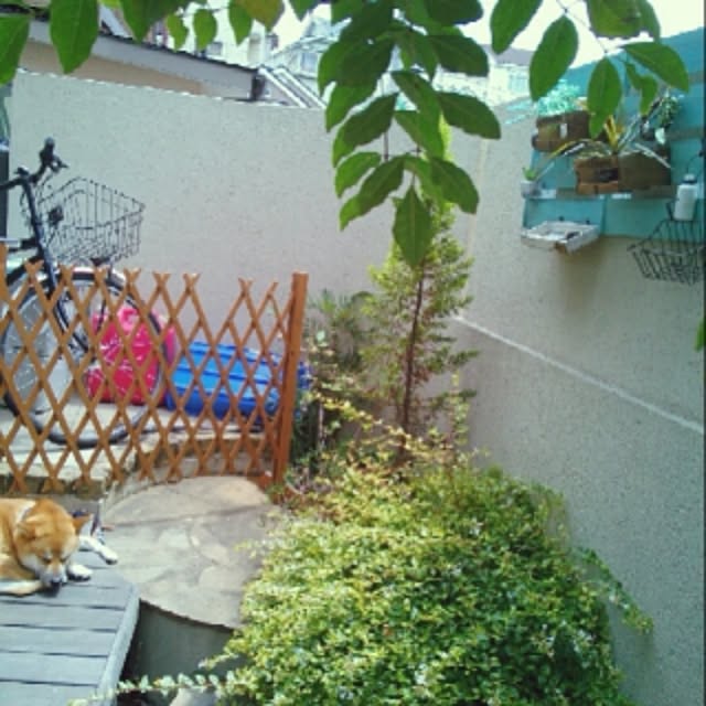 kotaさんの実例写真