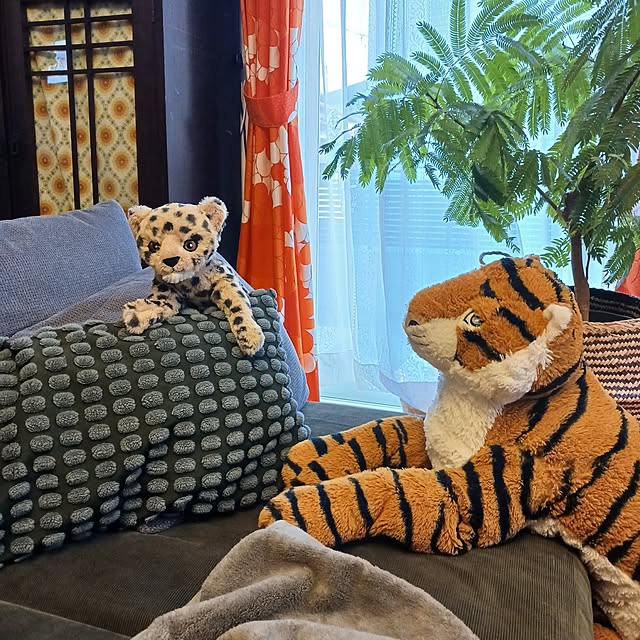 funnyfaceさんの部屋