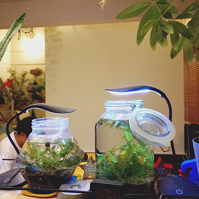 urchinさんの実例写真