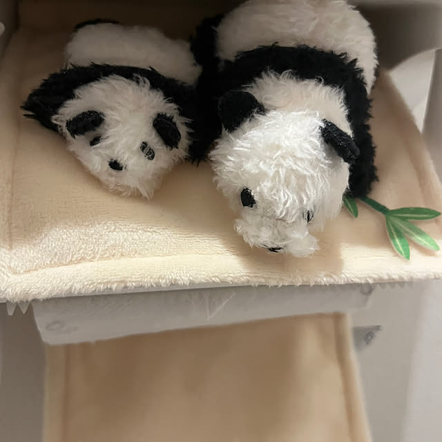 Misakiさんの部屋