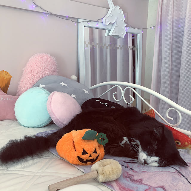 kanaさんの実例写真