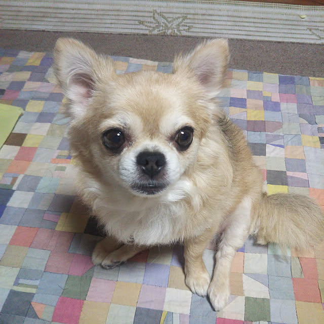 kiraさんの実例写真