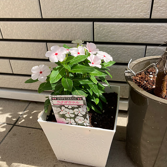 kirinsanさんの部屋